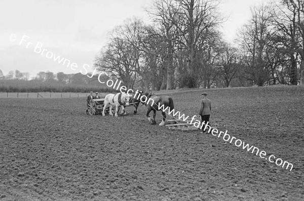 SOWING OATS BY MACHINE DAIRY HILL